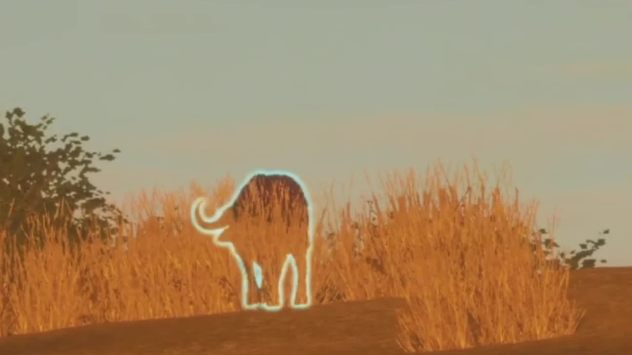 Why are you leaving? Hunter Call of the Wild