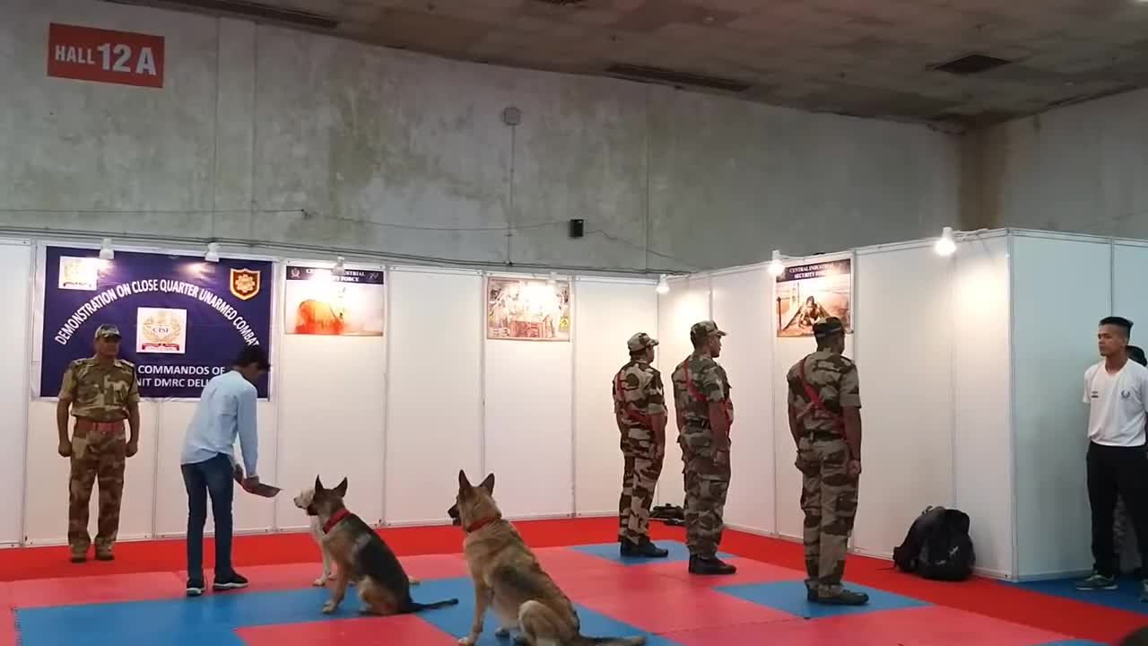 cisf demonstration of dog squad