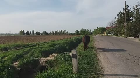 nature walk.прогулка на природе.