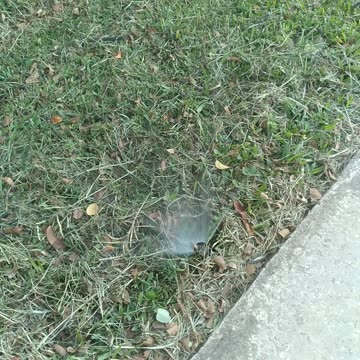 Mechanics Of Pop-Up Sprinkle Heads?