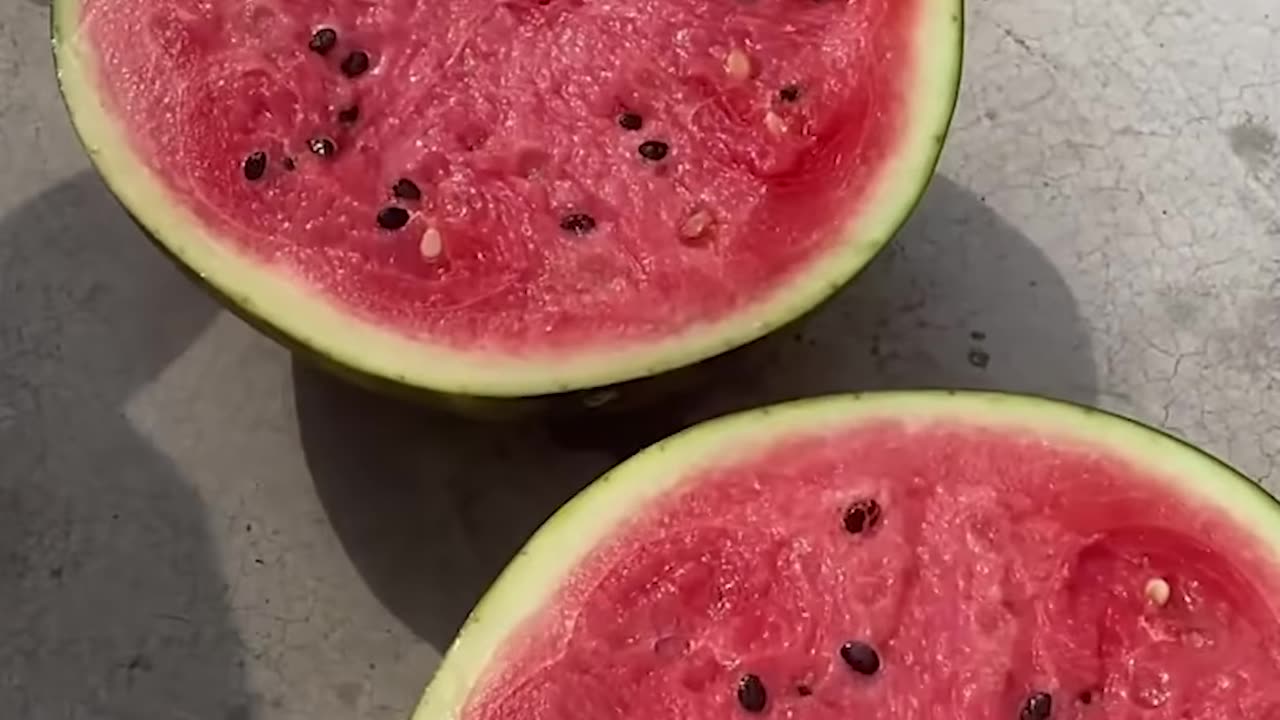 Cutting a watermelon in half!