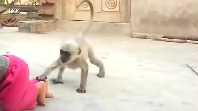 Monkey playing funny with small kid