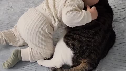 baby, cat, love.