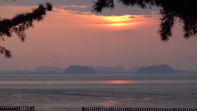 Red sunset and drained sea 2