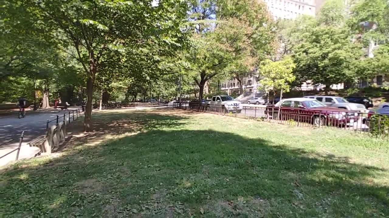 Šta je to lažni kapitalizam ? Šta je to pravi socijalizam? Nasilje i ubistva u NYC ?!?