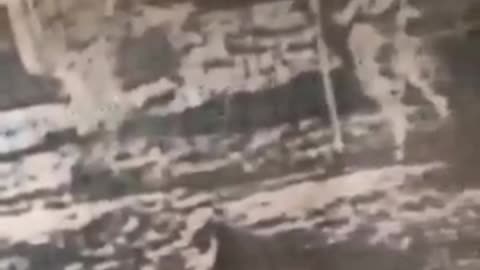 “培養分辨能力”，基礎篇七（臨床回覆示教，術科考試三_登月篇二）