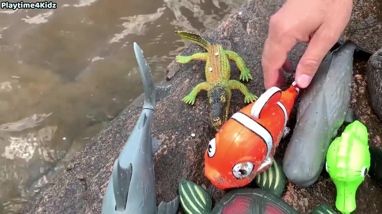 Sea animals toys this summer at the shore