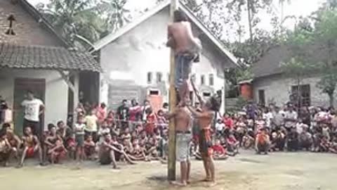 funny game of areca climbing