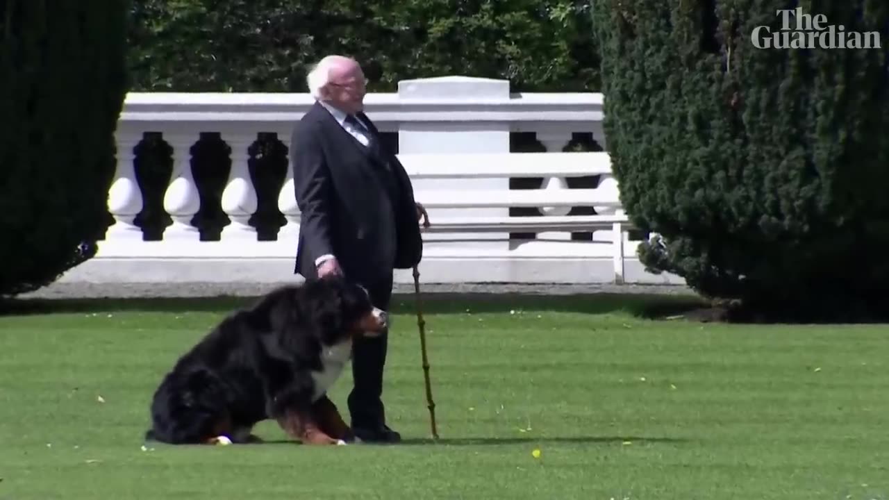 Joe Biden snubbed by Irish president's dog during Dublin visit