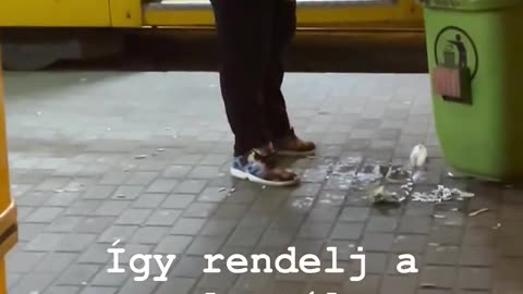 házhoz szállítás napjainkban