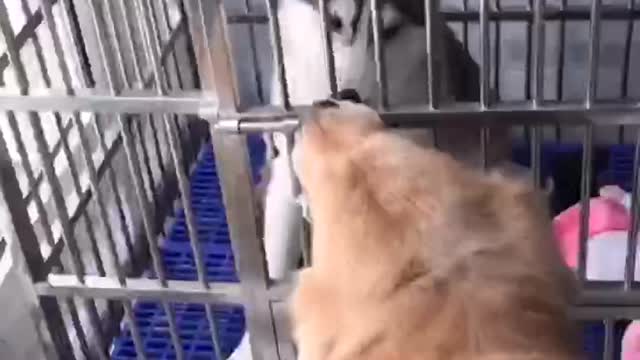 To the best brother.