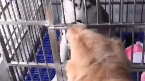 To the best brother.