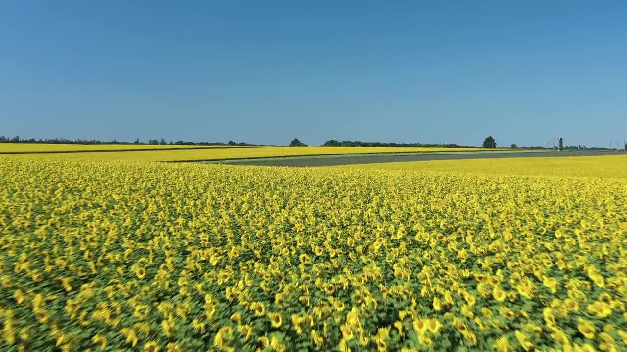 endless fields to enjoy