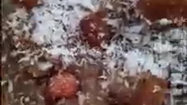 Simple Cooking