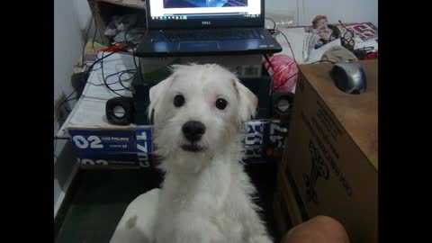 AJUDEM O VELHO PALHAÇO.