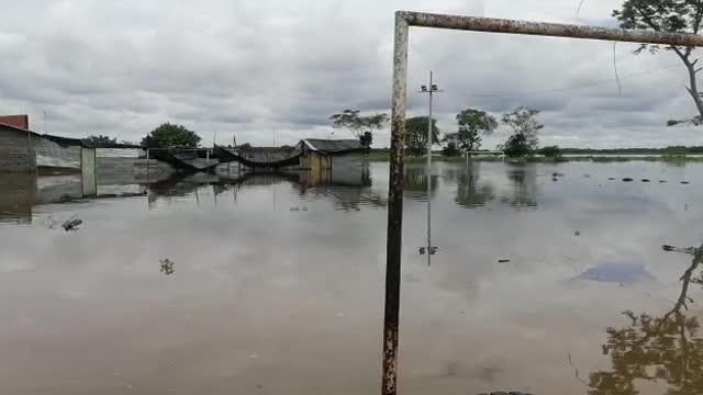 Video: Creciente en la Ciénaga Yarirí inundó 150 familias en Puerto Wilches