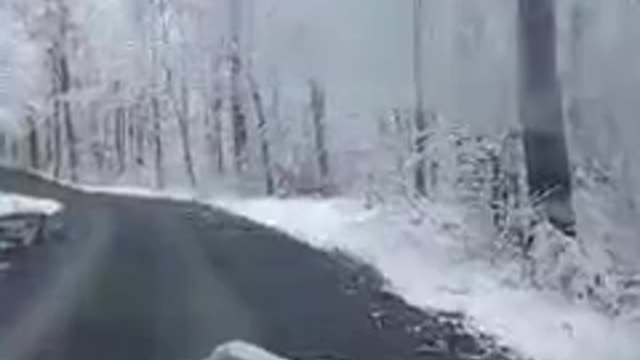 Jennifer in the wild