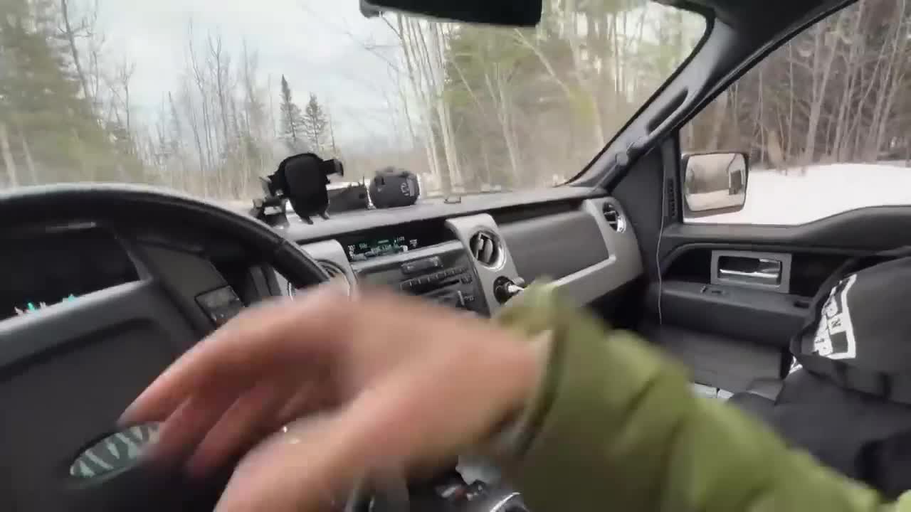 Get on the bus and go