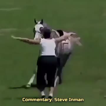 Horsed Around & Found Out