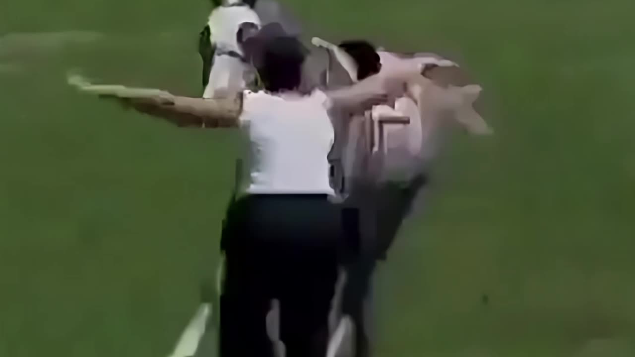 Horsed Around & Found Out