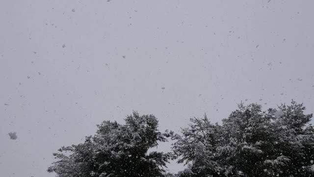 EXTRA LG SNOWFLAKES