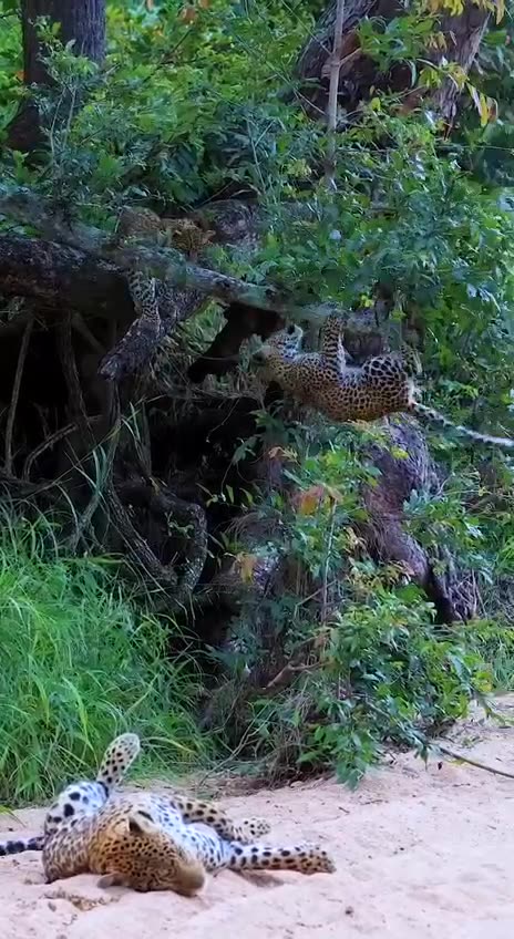 Kids at the age of mishaps and discoveries