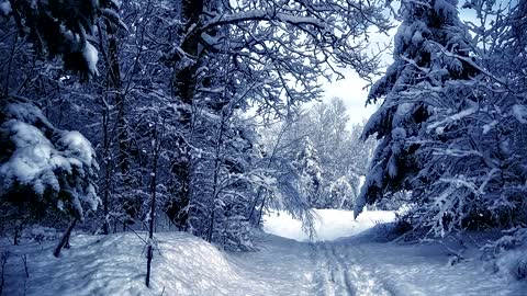 Stopping By the Woods on a Snowy Evening