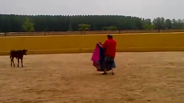 Bullfight Fail