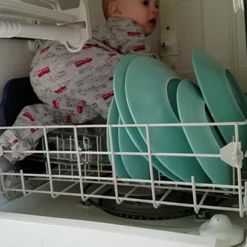 You'll Never Guess What's Inside The Dishwasher!