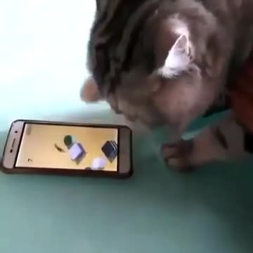 What’s the name of this game? game on bro