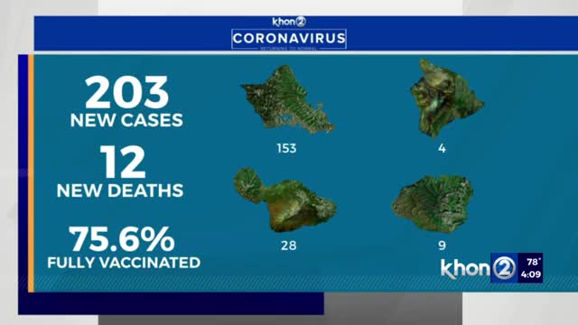 Hawaii reports 203 COVID cases, 12 new deaths