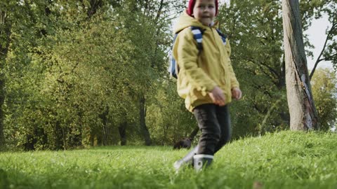 Boy Playing With His Dog Throwing a stick 4k