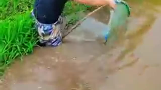 Amazing rural fishing video_Best asian fishing