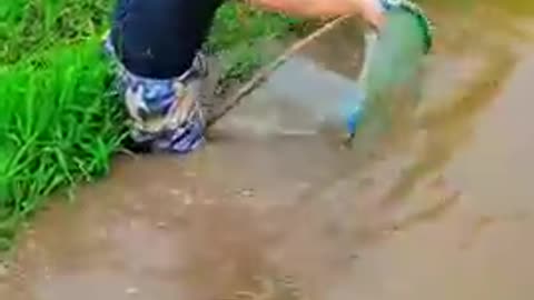 Amazing rural fishing video_Best asian fishing