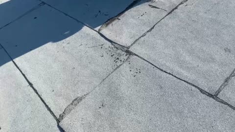 Roof of Seacrest2