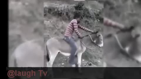 Most indian funny