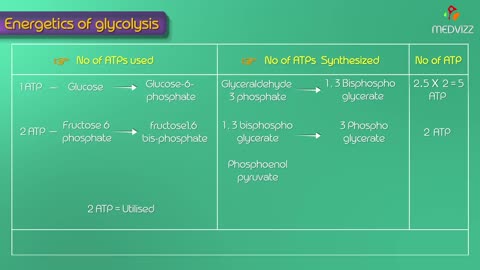 Glycolysis best discription(important for weight loss)