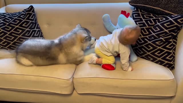 The Best Year Of Our Lives! Baby And Puppy Growing Up Together! (Cutest Ever!!) 10