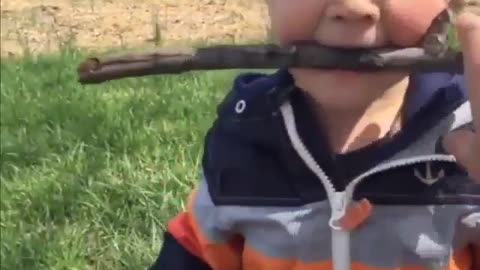 Funny baby videos to keep you entertained, latest 2022