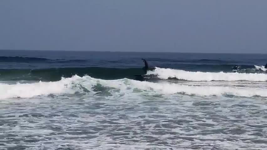 J's hobby weeks - Surf at the YANG YANG beach.