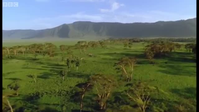 Africa's Volcanic Landscape | Great Natural Wonders of the World | BBC Earth