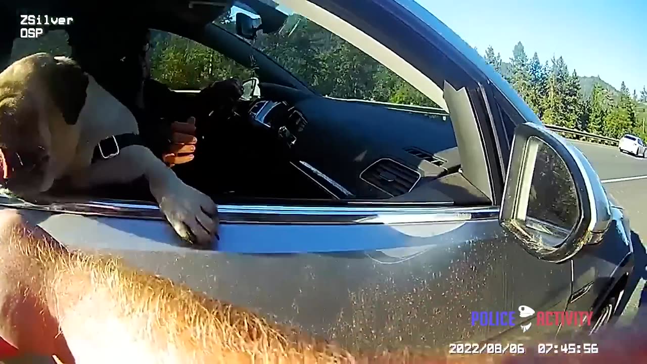 Trooper Catches Dog Trying To Flee From a Traffic Stop