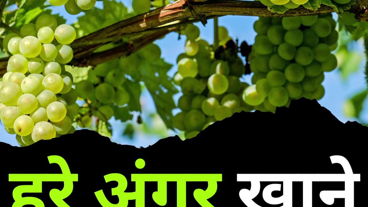 5 Amazing Benefits of Eating Grapes