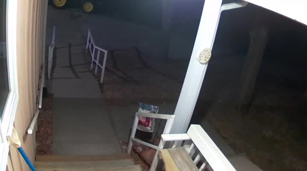 Bobcat Caught on Camera