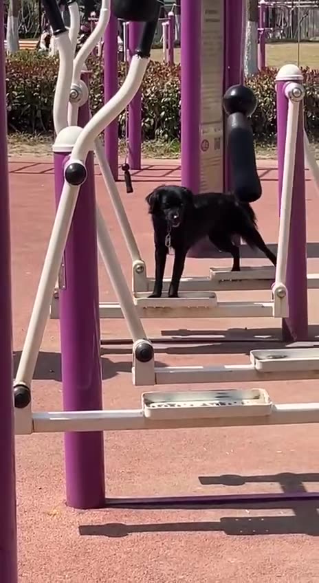 Nice rhythm budd 👍👍