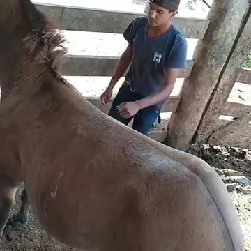 recintodastraias O Kara é bão e pronto😮..O Kara é bão e pronto😮..