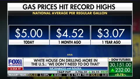 Stupid Left, they believe that these high gas prices are a good thing