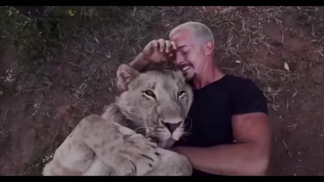 Dean schneider Animal wild Lion Teeth
