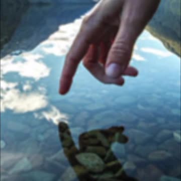 what is the law of reflection?