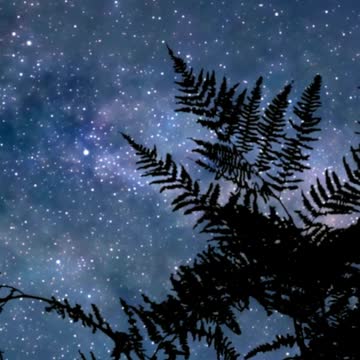 Soul Manifestation and Law of Attraction : Affirm for Abundance #shorts